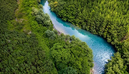 Aerial view of sustainable forest and water