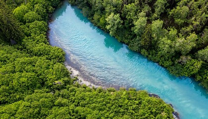 Aerial view of sustainable forest and water