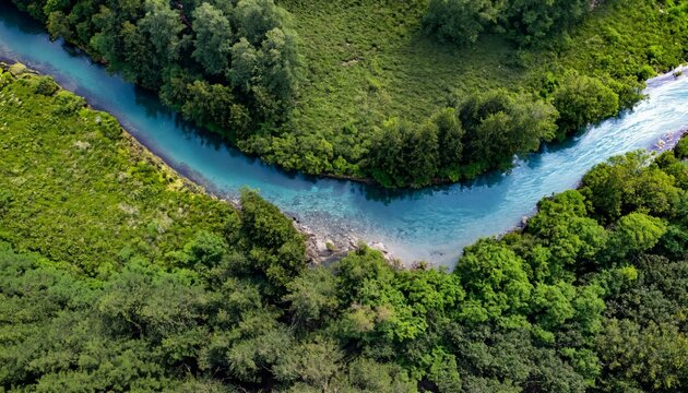 Aerial view of sustainable forest and water