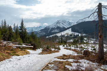 Panorama of the Tatra Mountains. Snow-capped mountain tops. View from the green trail to Rusinowa glade. Poland