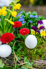 Easter eggs and beautiful spring flowers