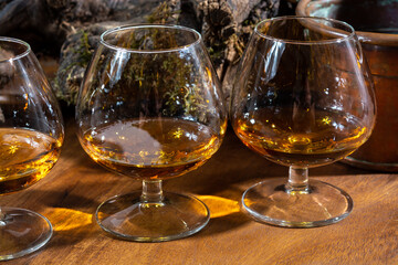 Tasting of aged french cognac brandy alcoholic drink in old cellars of cognac-producing regions Champagne or Bois, France