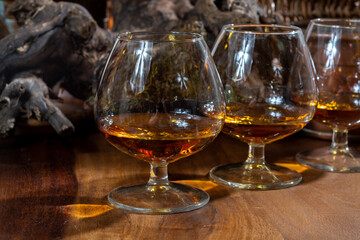Tasting of aged french cognac brandy alcoholic drink in old cellars of cognac-producing regions Champagne or Bois, France