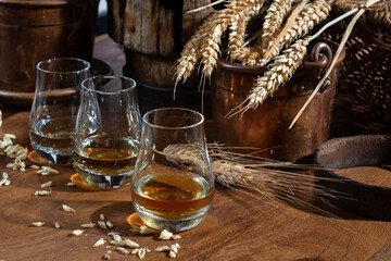 Speyside scotch whisky tasting on old dark wooden vintage table with barley grains close up