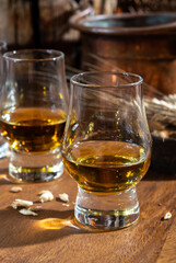 Small tasting glasses with aged Scotch whisky on old dark wooden vintage table with barley grains