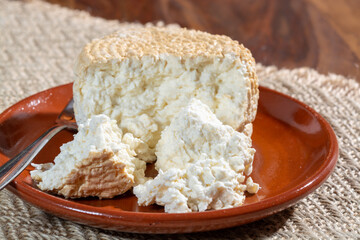 Polish skimmed fresh smoked milk twarog cheese, white cow cheese compared to curd, quark, or cottage cheese made in Poland