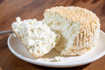Polish skimmed fresh smoked milk twarog cheese, white cow cheese compared to curd, quark, or cottage cheese made in Poland