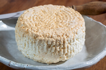 Polish skimmed fresh smoked milk twarog cheese, white cow cheese compared to curd, quark, or cottage cheese made in Poland