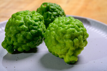 Citrus hystrix, kaffir lime or makrut lime, citrus fruit native to tropical Asia. Fruit and leaves used in Southeast Asian cuisine, essential oil is used in perfumery for intense citrus fragrance.