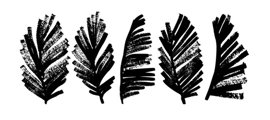Exotic palm leaves in grunge style collection. Brush drawn tropical palm leaves isolated on white background. Handdrawn vector ink illustration with dry brush texture. Botanical tropical foliage.