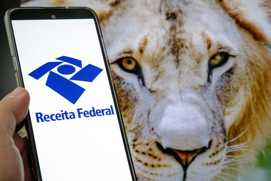  Nesta ilustra&ccedil;&atilde;o fotogr&aacute;fica, tela de um celular com imposto de renda da receita federal le&atilde;o.
