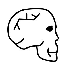 Skull Vector Icon

