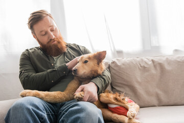 Bearded man hugging and looking at disabled dog on couch at home.