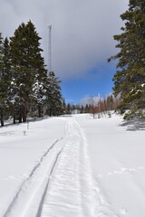 Obraz premium A snowmobile trail, Sainte-Apolline, Québec, Canada