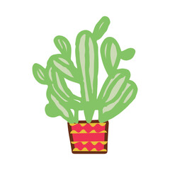 Cactus home plant