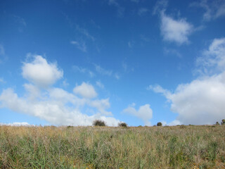 Obraz premium Natura