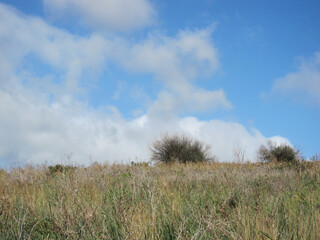 Obraz premium Natura