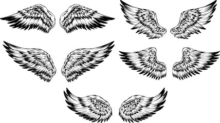 Bird wings illustration tattoo style. Hand drawn design element.