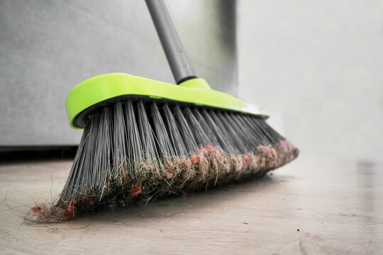 Broom With Dusty Hair Standing On Wood Floor With Copyspace For Text Information. Cleanup Service And Cleaning Concept.