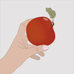 hand holding an apple