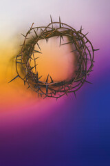 Crown of thorns on purple and yellow - 586563759