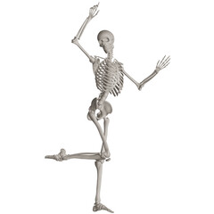 skeleton posing 3d render illustration with transparent background