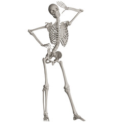 skeleton posing 3d render illustration with transparent background