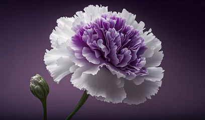 Foto op Canvas  a purple and white flower on a purple background with a green stem in the center of the flower and a bud in the middle of the flower.  generative ai © Anna