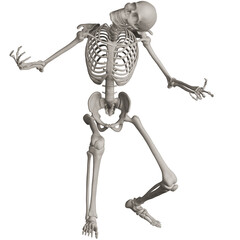 skeleton posing 3d render illustration with transparent background