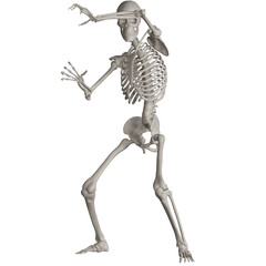 skeleton posing 3d render illustration with transparent background