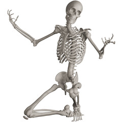 skeleton posing 3d render illustration with transparent background