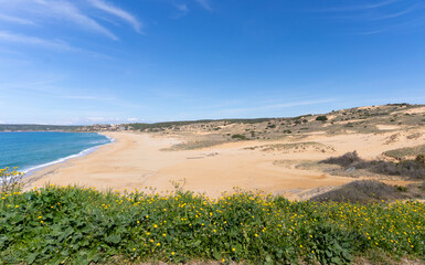 aerial view of the tower of flumentorgiu a few steps from the beach of torre dei corsari in southern sardinia
