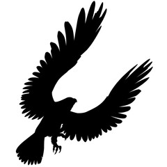 Silhouette of falcon in flight