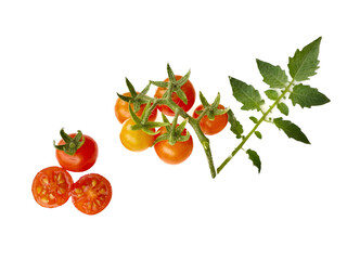 tomato with leaf on white background.