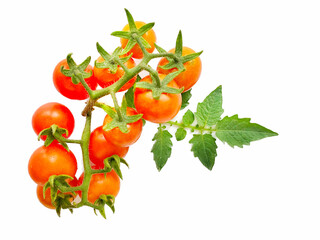 fresh tomato with leaf on white background.