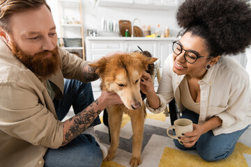 Smiling multiethnic couple with coffee petting disabled dog on wheelchair at home.