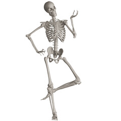 skeleton posing 3d render illustration with transparent background