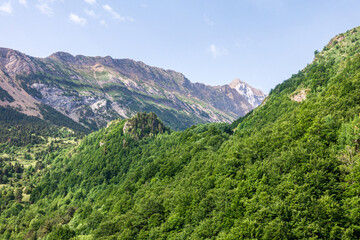 Fototapeta premium Camins del GR11