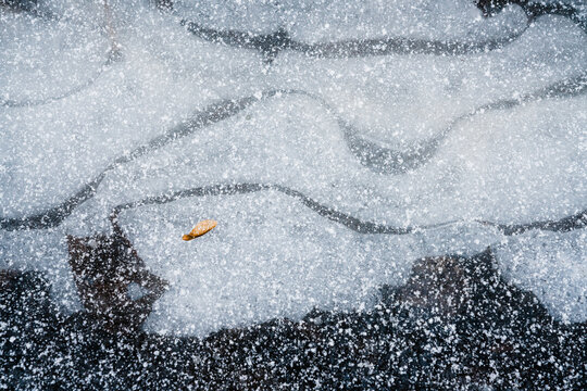 Snow falling on ground