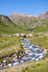 Fototapeta premium Camins del GR11