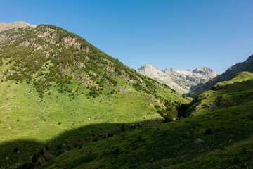 Fototapeta premium Camins del GR11