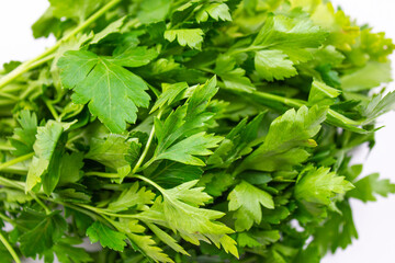 Natural parsley close-up on a white background. Green spice fresh parsley.