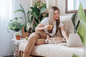 Freelance woman with sleeping dog and laptop, texting at mobile phone and working from home office. Happy girl sitting on couch in living room with plants. Distance learning online education and work.