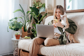 Freelance woman with dog and laptop, texting at mobile phone and working from home office. Happy girl sitting on couch in living room with plants. Distance learning online education and work.