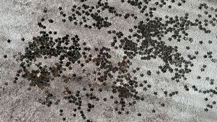 Silver star shaped glitter sparkles shining on marble background in the sun with shadows. Background. Close-up.