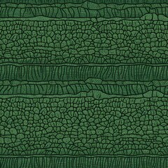 Crocodile Patterns Textures