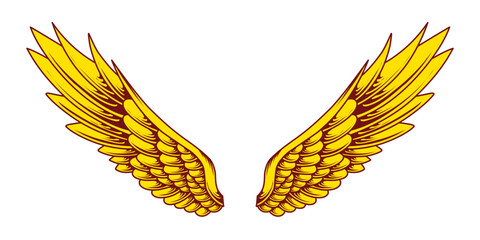 Vector yellow angel wings illustration design