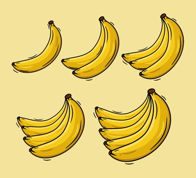 Banana bunch. Vector design.