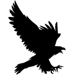 eagle silhouette vector illustration