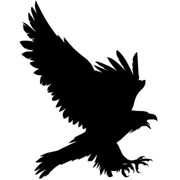 eagle silhouette vector illustration